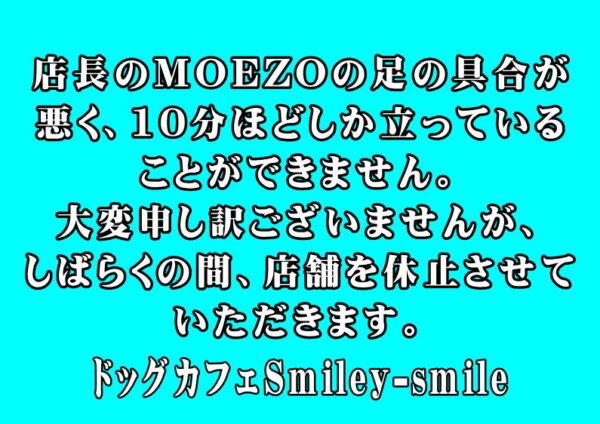 神奈川県で屋内ドッグランなら 室内で貸切ｏｋのsmiley Smile